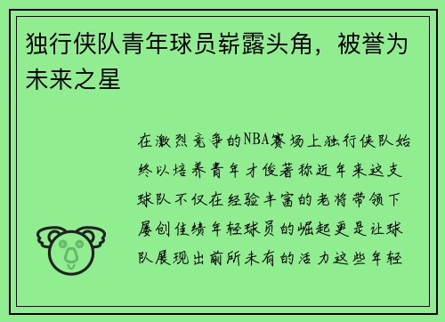 独行侠队青年球员崭露头角，被誉为未来之星