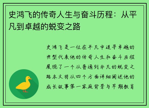 史鸿飞的传奇人生与奋斗历程：从平凡到卓越的蜕变之路
